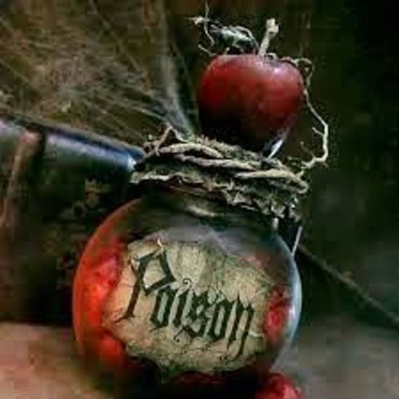 Meet your Posher, Sandra - Picture 1 of 1